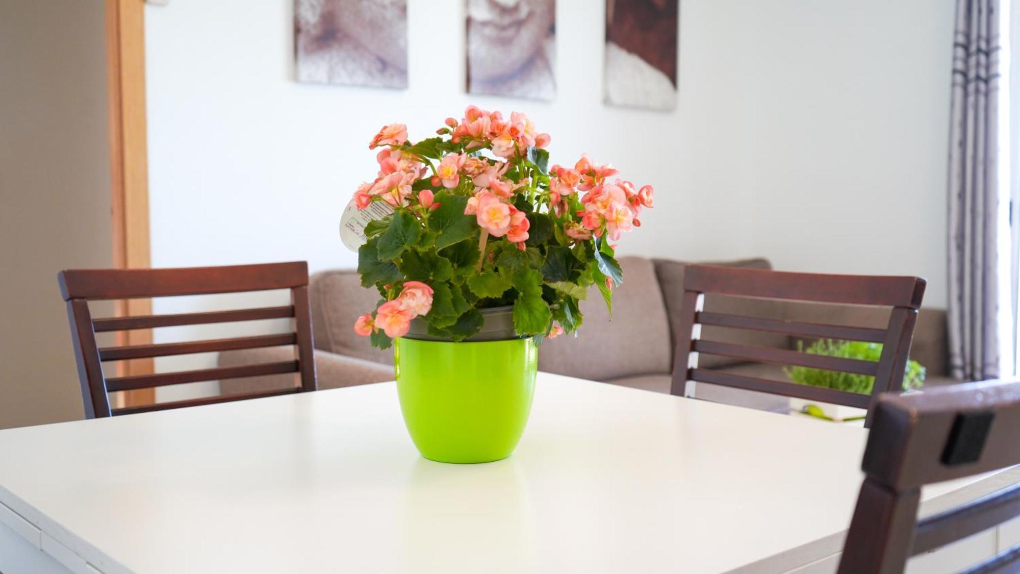 Apartament Lo Cor Del Delta Sant Jaume d'Enveja Buitenkant foto